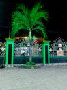 The palm trees grow on the streets lushly. Green fences and green palm trees