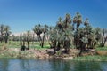 Fertile plains at river Nile in Egypt