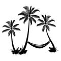 Palm trees with hammock