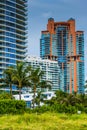 Palm trees and highrises in South Beach, Miami, Florida. Royalty Free Stock Photo
