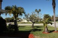 palm trees on home house lawn and on another across the street with three tall 4 p Royalty Free Stock Photo