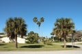 palm trees on home house lawn at corner next to street with one left one right 2 p Royalty Free Stock Photo