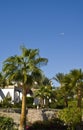Palm trees and hotel Royalty Free Stock Photo