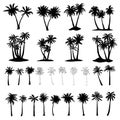 Palm trees icons set. Vector, illustration.