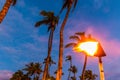 Palm Trees Illuminated by Tiki Torch on The Shoreline of Waiulua Ba Royalty Free Stock Photo