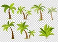 Palm trees isolated on transparent background. Beautiful vectro palma tree set vector illustration