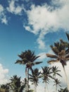 Palm trees of Juanillo beach under heavy sky