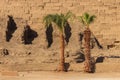 Palm trees in Karnak temple complex in Luxor, Egypt Royalty Free Stock Photo