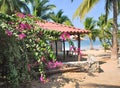 Palm Trees At La Ropa Beach