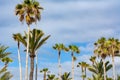 Palm trees in Lago Martianez open air swimming pool complex, Puerto de la Cruz, Tenerife, Canary islands, Spain Royalty Free Stock Photo