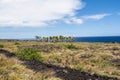 Palm trees on the lava flow, Hawaii Royalty Free Stock Photo