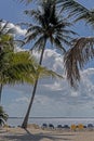 Palm trees lean over the sand and ocean in the Bahamas. Royalty Free Stock Photo