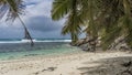 Palm trees lean over a secluded tropical beach. Royalty Free Stock Photo