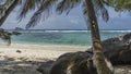 Palm trees lean over a white secluded sandy beach.