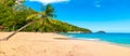 Palm trees leaning over La Perle beach in Guadeloupe