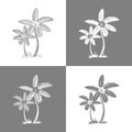 Palm trees and leaves. grey line silhouette isolated on white background. Vector sketch illustration Royalty Free Stock Photo