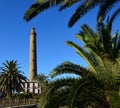 Palm trees, lighthouse and intense blue sky Royalty Free Stock Photo