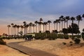 Palm trees line. embankment on sunset, California, USA. Long beach, Los-Angeles Royalty Free Stock Photo