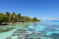 Palm trees line a sandy beach next to a tropical lagoon filled with coral under a bright blue sky Royalty Free Stock Photo