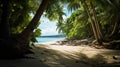 Mysterious Jungle Beach With Coconut Trees And Clear Water