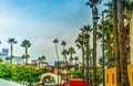 Palm trees in Los Angeles Union station