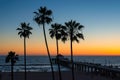 Palm trees on the beach at sunset in California coast Royalty Free Stock Photo