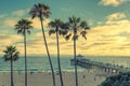 Palm trees on Manhattan Beach, Vintage processed Royalty Free Stock Photo