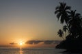 Palm trees and a Maui sunset Royalty Free Stock Photo