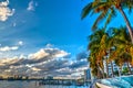 Palm trees in Miami Beach bayfront at sunset Royalty Free Stock Photo