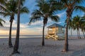 Palm trees on Miami Beach at sunrise Royalty Free Stock Photo