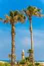 The palm trees and minaret