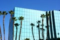 Palm trees and modern architecture Royalty Free Stock Photo