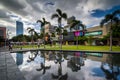 Palm trees and modern buildings reflecting in a pool at Bonifacio Global City, in Taguig, Metro Manila, The Philippines. Royalty Free Stock Photo