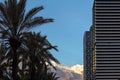 Palm trees and modern buildings on the side with blue sky in the Royalty Free Stock Photo