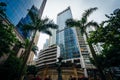 Palm trees and modern skyscrapers at Sheung Wan, in Hong Kong, H Royalty Free Stock Photo