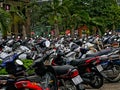 Palm trees and motorbikes in Vietnam motorbike parking