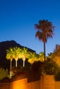 Palm trees and mountain at dusk Royalty Free Stock Photo