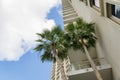 Palm trees near the balconies at the corner of the building undert the clouds in the sky- Miami, FL Royalty Free Stock Photo
