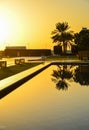 Palm trees near the lake at sunset Royalty Free Stock Photo