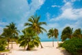 Palm trees near Paradise beach. Cancun. Mexico beach tropical in Caribbean Royalty Free Stock Photo