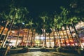 Palm trees at night, at Greenbelt Park, in Makati, Metro Manila,