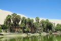 Palm trees oasis village near lake Royalty Free Stock Photo