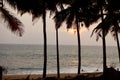 Palm Trees At Ocean Coast With Sand And Wave at sunset