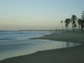 Palm trees and ocean at Cumbuco beach at evening. Royalty Free Stock Photo