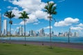 Palm trees, ocean and skyscraper city skyline - Panama City - Royalty Free Stock Photo