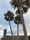 Palm trees of an old fort in Florida - USA - HISTORICAL