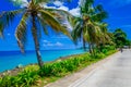 Palm trees in one side of a road in San Andres, Colombia in a beautiful beach background