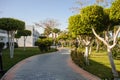 Palm trees and other plants in tropical garden of a resor