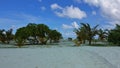 Palm trees and other tropical plants grow on the wide sandy beach Royalty Free Stock Photo