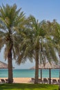 Palm Trees overlooking Barsa Bay